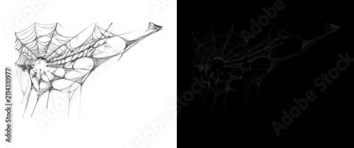 Fototapeta na wymiar Spooky spider web texture on white and black backgrounds, realistic cobweb overlay for Halloween design, intricate silk spiderweb pattern
