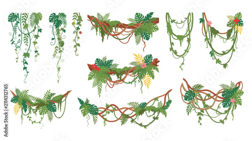 Konstfotografi Set of jungle lianas and tropical leaves hanging creeper plants.