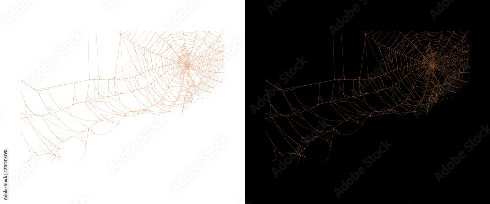 Foto Intricate spider web design elements, delicate cobweb patterns on black and whit