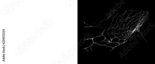 Bild auf Leinwand Intricate spider web on black background, delicate white gossamer silk threads,