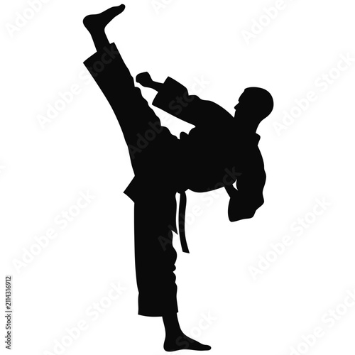 Taekwondo Martial Arts High Kick Silhouette Vector Isolated