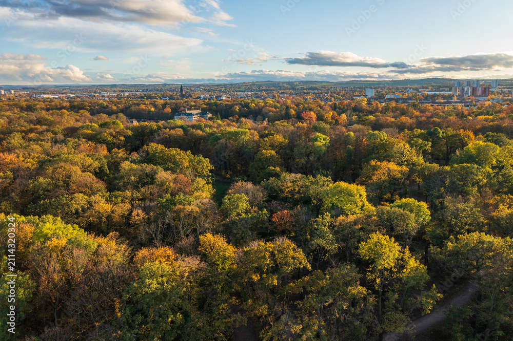 Obraz premium Drone view of colorful autumn trees with city of Dresden, Germany visible in distance. Scenic fall landscape blending vibrant nature and the urban skyline.