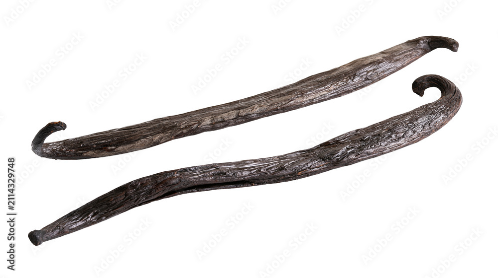 Obraz premium Two dark brown dried vanilla bean pods with curved ends