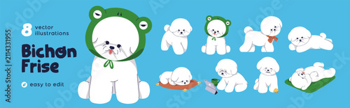Funny puppy of Bichon Frise breed set. Cute baby dogs, little canine animals....