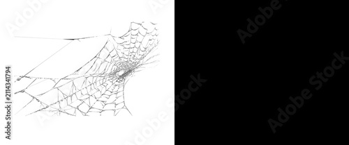 Принти на полотні Intricate spider web on white background, delicate cobweb texture, fragile silk