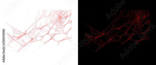 Bild auf Leinwand Microscopic red blood vessel network, anatomical vascular structure on white and