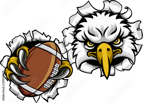 An eagle or hawk or falcon ...