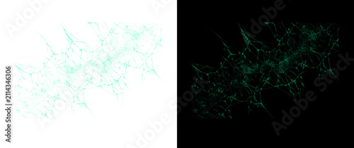 Abstract digital neural network, glowing green web connection on black and white background, futuristic technology data visualization