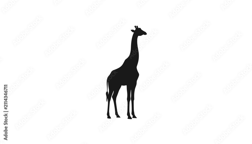 Fototapeta premium Majestic standing giraffe solid black silhouette showing full body profile isolated on a clean white background.