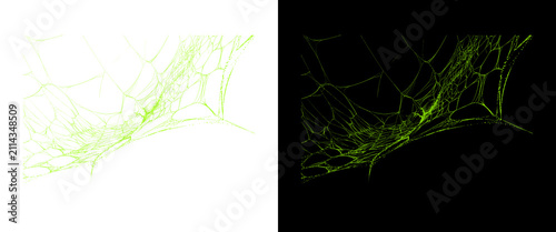 Fotografie Fluorescent green spider web on black and white backgrounds, glowing neon cobweb