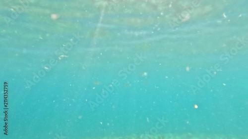 Microplastic pollution floating in ocean water