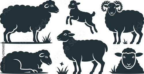 Obraz na plátne Farm Sheep and Ram Collection with Domestic Livestock, Standing and Resting Wool