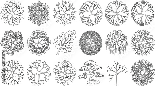 Cuadro en lienzo Hand Drawn Tree Canopy Top View Botanical Line Art Vector Collection for Landsca