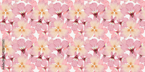 Pink Pressed Flower Seamless Pattern