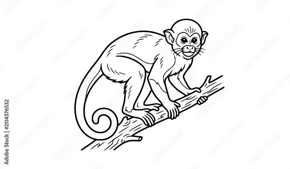 Fototapeta premium Squirrel Monkey Line Art Vector Illustration EPS
