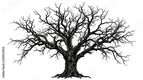 Large leafless dark tree with intricate branches isolated on transparent background