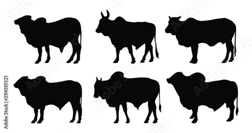 Fotografie Brahman Cattle Silhouette Collection, Black Humped Cow and Bull Livestock Vector
