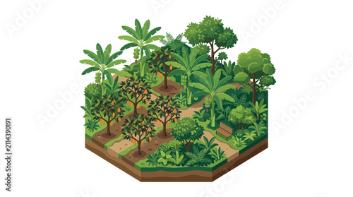 Isometric Illustration of a Sustainable Tropical Fruit Orchard Garden