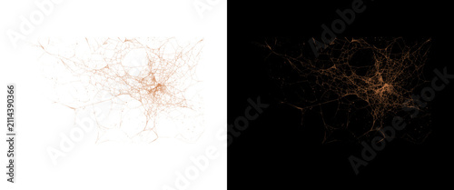 Fotografie Microscopic human neuron cells, golden neural network connection on black and wh