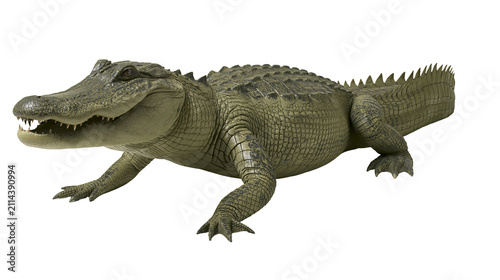фотографія Green alligator with sharp teeth and scaly skin