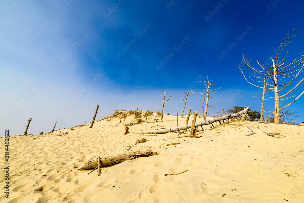 Foto Dune du Pilat,
