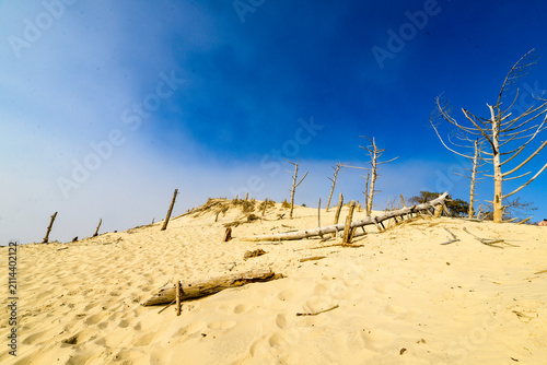 Foto Dune du Pilat,