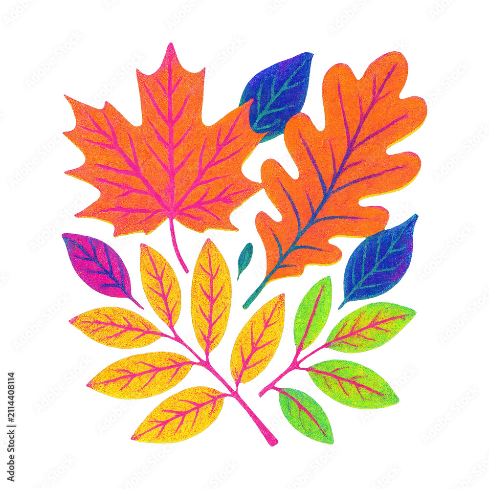 Obraz premium PNG Vibrant autumn leaves illustration