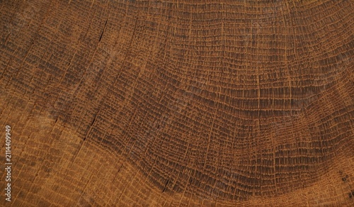 Photography Close-up texture of a rough weathered oak wood grain with visible growth rings,
