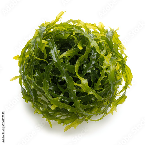 Fresh sea lettuce on white background ready for healthy and tasty meal.