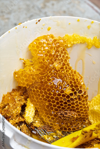 Freshly cut honeycomb pieces and raw organic honey in a bucket with uncapping fork tool. Golden honey harvest process close-up.
