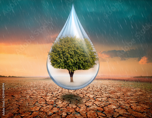 Tree Enclosed in Water Drop on Cracked Desert During Sunset