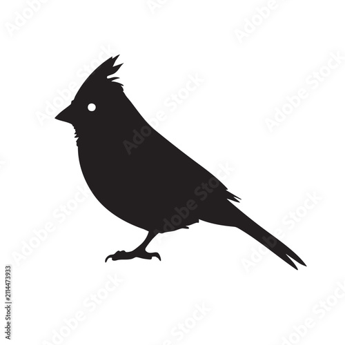 Fotografie Black silhouette of a cardinal bird