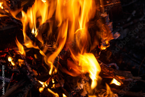 Cuadro en lienzo Vibrant, dancing flames engulf dark twigs and embers creating a warm, mesmerizin