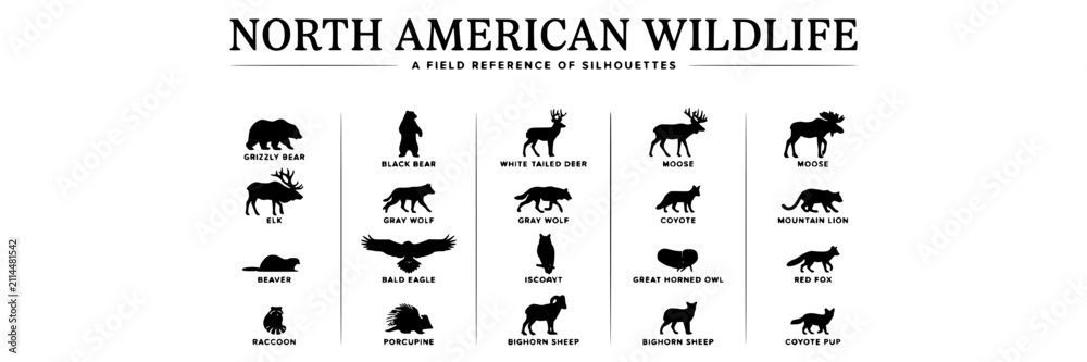 Fototapeta premium North American Wildlife Silhouettes Featuring Bears, Wolves, Deer, and Other Animals Featuring Moose, Cougar, Mountain Lion
