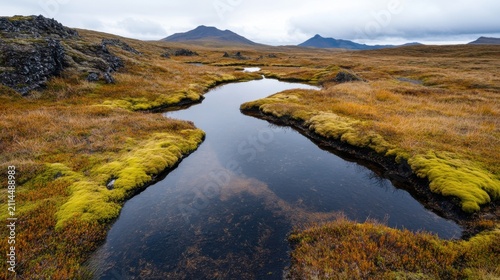 A serene landscape featuring a meandering river flowing through a vast, barren terrain under a cloudy sky
