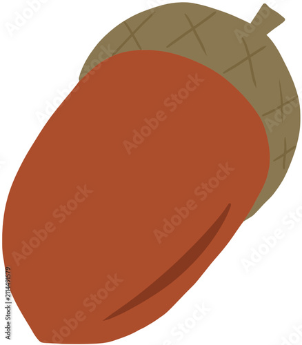 Acorn illustration 