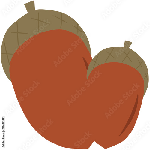 acorn 