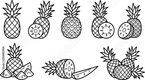 Bild auf Leinwand Fresh pineapple fruit organic food whole and sliced chunks outline line icon vector graphic set