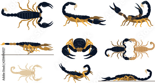 Scorpion cartoon character vector illustration set. Dangerous arachnid graphics bundle featuring top view profile crawling defensive sting posture and fighting poses