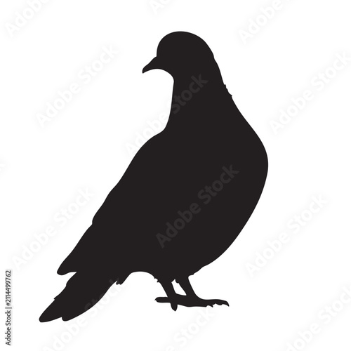 Black silhouette of a pigeon standing