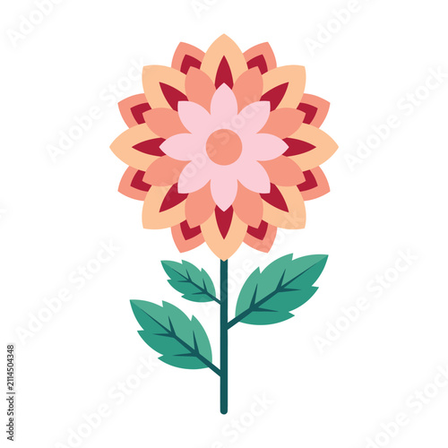 Vibrant pink and orange flower with green leaves on white background