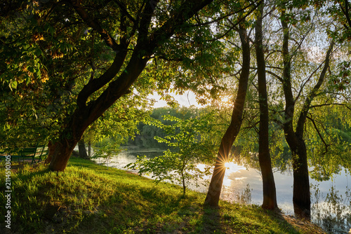 Golden sunburst through flooded green trees at sunset