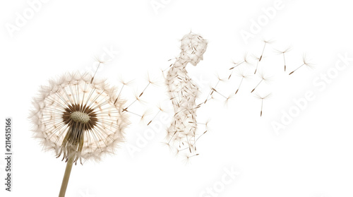 Surreal dandelion seeds forming a human silhouette, ethereal floral woman figure in wind, conceptual nature art for mental health and transformation isolated PNG with Transparent Background