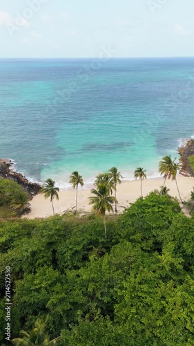 Vertical drone view of sandy beach with palm trees and turquoise ocean at Playa Ermitano in Samana, Dominican Republic. Copy space