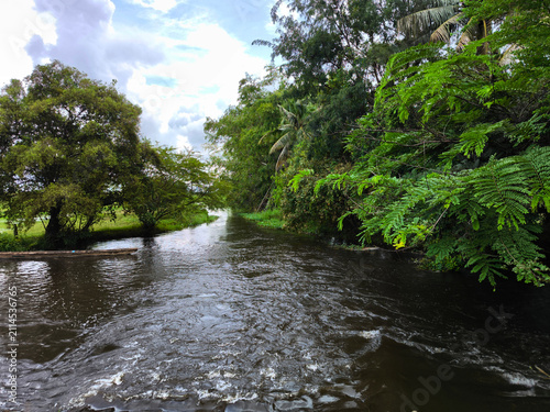 The calm river flowing through a green nature park popular for camping and outdoor activities