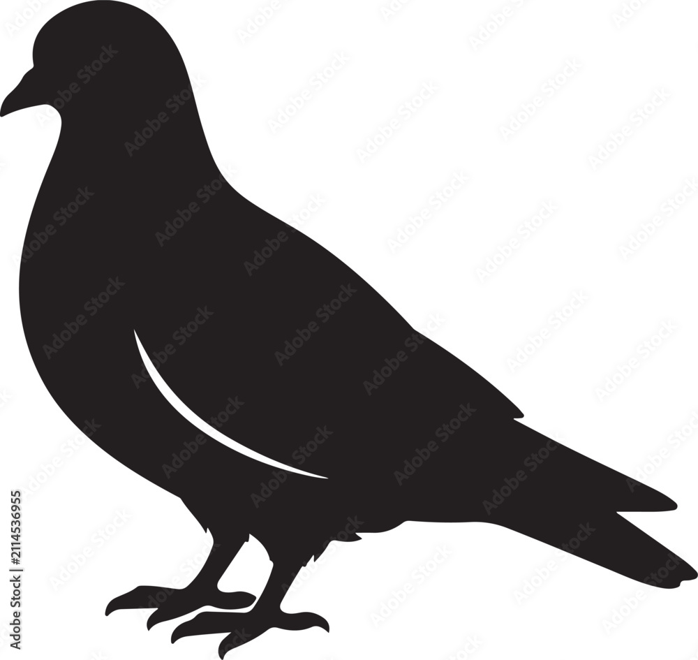Fototapeta premium Pigeon silhouette vector