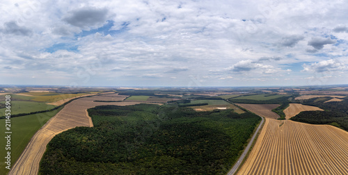 Aerial golden fields with crops in rural scenery with cloudy sky. Agricultural seasonal landscape with natural patterns