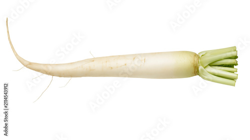 Foto Long white daikon radish with green leafy tops and fine root hairs