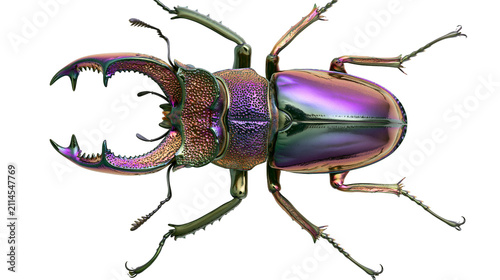 Obraz na płótnie Iridescent metallic stag beetle with large mandibles
