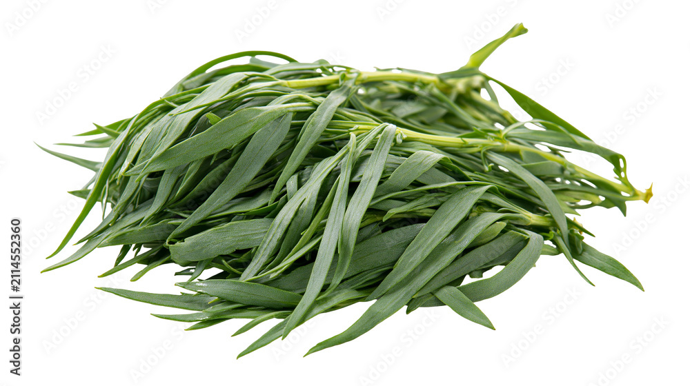Fototapeta premium Fresh green tarragon herb bunch